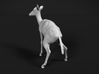 Impala 1:12 Pooping Female 3d printed 