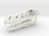 1:2 Velociraptor mongoliensis Skull and Jaw 3d printed 