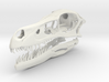 1:1 Velociraptor mongoliensis Skull and Jaw 3d printed 