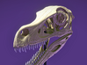Velociraptor - dinosaur skull replica 3d printed 3D render