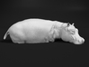 Hippopotamus 1:25 Standing in Water 3d printed 