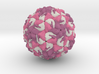 Rhinovirus Serotype 1 3d printed 
