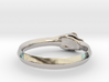Ouroboros Ring 3d printed 