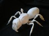 Articulated Honey bee 3d printed 