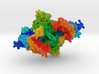 Arginyl-tRNA Synthetase 3d printed 
