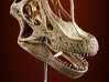 Giraffatitan - dinosaur skull replica 3d printed Product photo