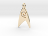 Star Trek - Starfleet Engineering (Pendant) 3d printed 