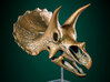 Triceratops skull - dinosaur model 3d printed Miniature dinosaur skull