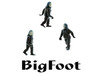 BIGFOOT HO Scale Creature 3d printed 