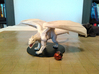 Adult White Dragon 3d printed 