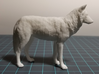 North American Gray Wolf 3d printed 