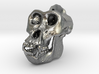 Gorilla Skull 3d printed 