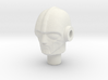 Acroyear II Biotron Head 3d printed 