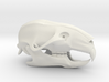 Mouse Rat Skull 3D Printed Model 3d printed Rat Skull 3D Printed