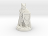 Order of the Red Cross Paladin Cleric 3d printed 