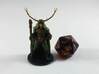 Elven Archdruid 3d printed 