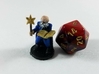 Gnome Conjurer Wizard 3d printed 
