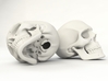 Realistic Human Skull (40mm H) 3d printed RENDER PREVIEW