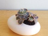 Oval Succulent Planter 3d printed 