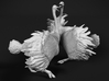 Ostrich 1:160 Fighting Pair 3d printed 