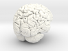 Adult Male Human Brain 40% Scale 3d printed 