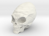 Alien Skull 3d printed 