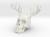 Antler Skull 3d printed 