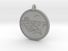 Gray Whale Animal Totem Pendant 3d printed 