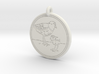 Piping Plover Animal Totem Pendant 3d printed 