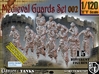 1/120 Medieval Guards Set002 3d printed 