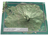 Rangitoto Island Map 3d printed 