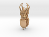 Stag beetle with open jaws  3d printed 