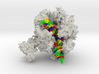 RNA Polymerase II 3d printed 