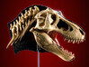 Dual Detail T. rex head (lipped version) 3d printed Product photo
