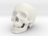 Human Skull (Medium Size-10cm Tall) 3d printed 