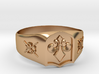 Fleur-de-lis and the Director of Ceremonies Ring 3d printed 