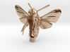 Hummingbird Hawk-Moth Pendant (hollow version) 3d printed 