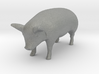 1-64 special pig 3d printed This is a render not a picture