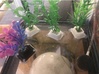 Fish Tank Artificial Plant Holder 3d printed Plants with suction cups installed before gravel, from the top view