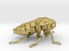 Cicada! The Somewhat Smaller Square-ish Sculpture 3d printed Cicada for Brass!