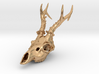 Capreolus skull with teeth 3d printed 