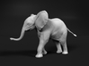 African Bush Elephant 1:160 Running Male Calf 3d printed 