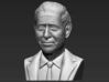Prince Charles bust 3d printed 