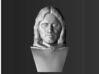 Aragorn from the Lord of the Rings bust 3d printed 