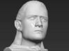 Legolas from the Lord of the Rings bust 3d printed 