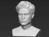 Edward Cullen from Twilight bust 3d printed 