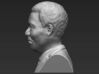 Nelson Mandela bust 3d printed 