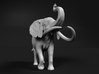 African Bush Elephant 1:40 Aggressive Male 3d printed 