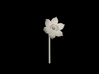 Narcissus Flower 3d printed 