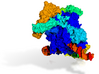RNA Polymerase I (Large) 3d printed 